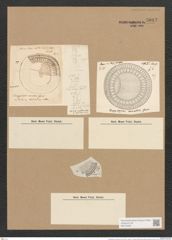 Campylodiscus ornatus Grev. (de-Toni-Nr.: Genus 57, Species 2506) Zeichnungen Sammlung Grunow Nr. 5013 (NHMW-BOT-W0373263)